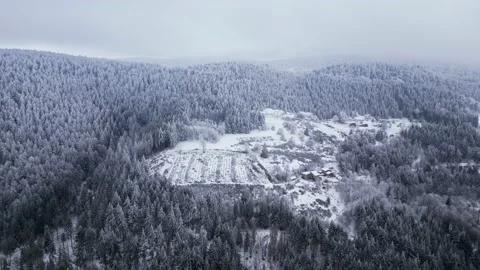 Panoramic winter drone view of the mountains in the forest. 스톡 동영상 232410951