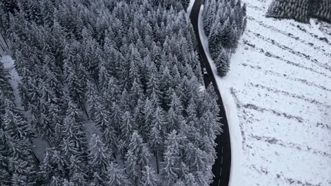 Panoramic winter drone view of the mountains in the forest. 스톡 동영상 232410971