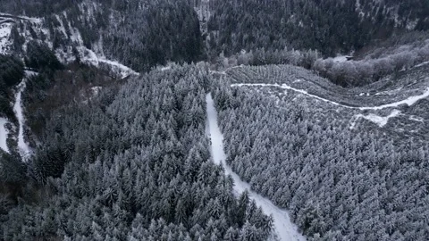 Panoramic winter drone view of the mountains in the forest. Stock Footage 232411039