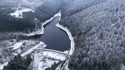 Panoramic winter drone view of the mountains in the forest. Vídeo Stock 232411115