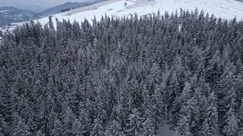 Panoramic winter drone view of the mountains in the forest. Stock Footage 232411130