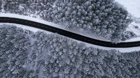 Panoramic winter drone view of the mountains in the forest. Video stock 232411280