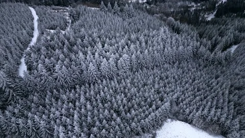 Panoramic winter drone view of the mountains in the forest. 스톡 동영상 232411571