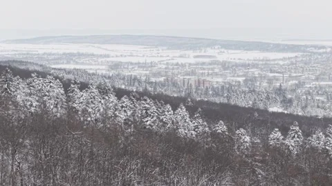 A panoramic winter landscape showing a snow covered forest in the foreground 스톡 동영상 331056344