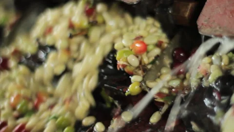 Panshot of processing / washing fresh coffee berries Stock Footage 169700172