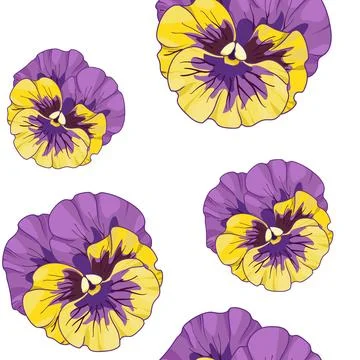 Pansies floral seamless pattern, vector illustration. viola Stock Illustration