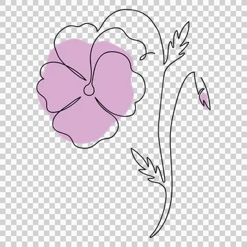 Pansy flower, vector drawn by one line Stock Illustration
