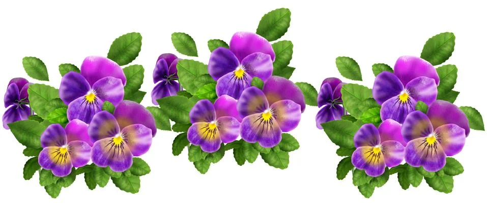 Pansy flowers pattern Stock Illustration