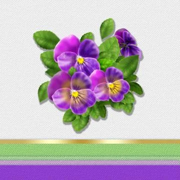 Pansy greeting card background, Spring holiday Stock Illustration