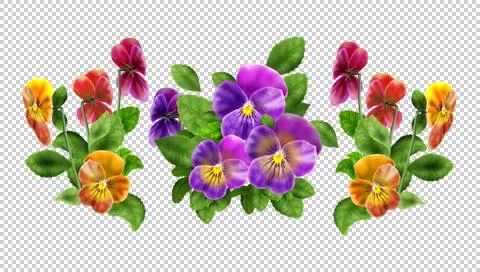 Pansy Spring Flowers Stock Illustration