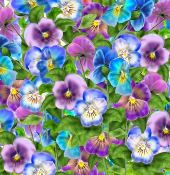 Pansy violet flower background Stock Illustration