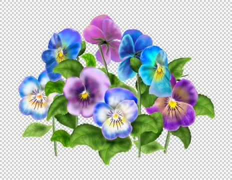 Pansy violet flower Stock Illustration
