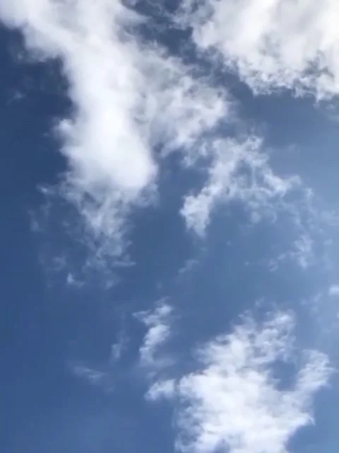 Pantai Stock Footage 234870807