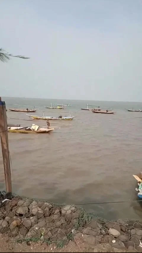 Pantai ria Stock Footage 243933577