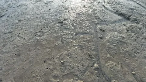 Pantai sunari  (4) Video stock 274117006