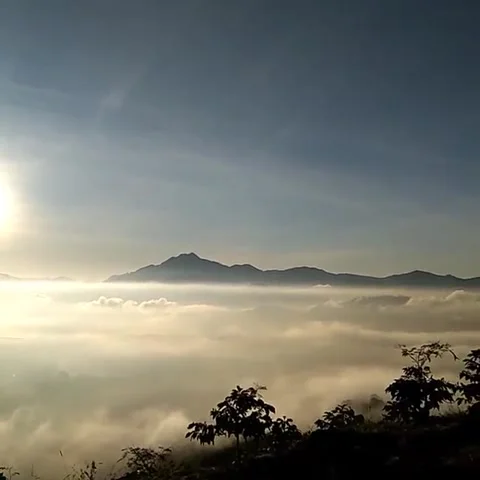 Pantan Terong Stock Footage 296745493