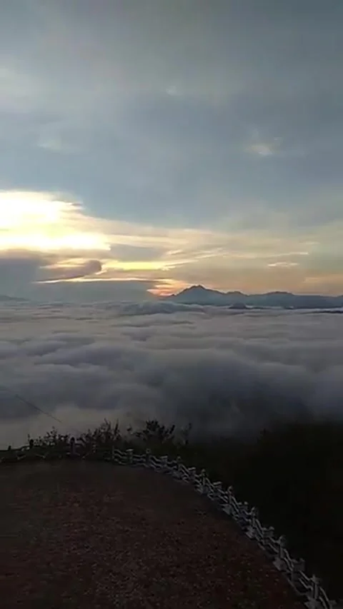 Pantan Terong5 Stock Footage 296745474