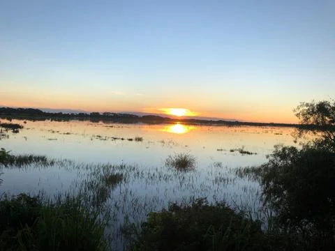 Pantanal Stock Photos