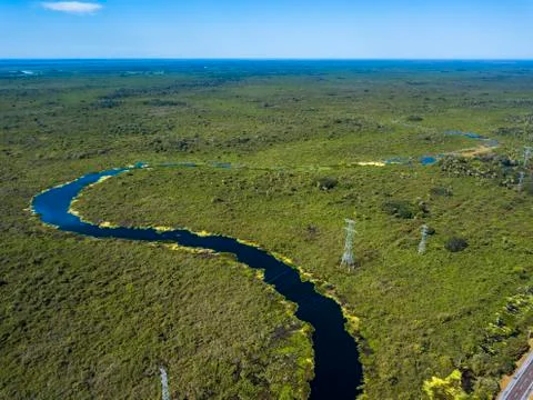 Pantanal photographed in Corumba, Mato Grosso do Sul. Stock Photos