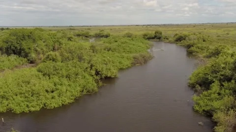 Pantanal river Stock Footage 50584115
