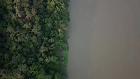 Pantanal - Riverside 1 Stock Footage 266935520