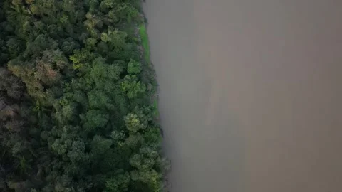 Pantanal - Riverside 2 Video stock 266935519