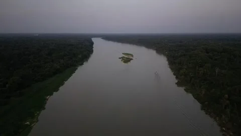 Pantanal - Riverside - Overcast Stock Footage 266935272
