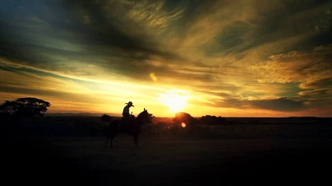 Pantanero 2 Video stock 74872903