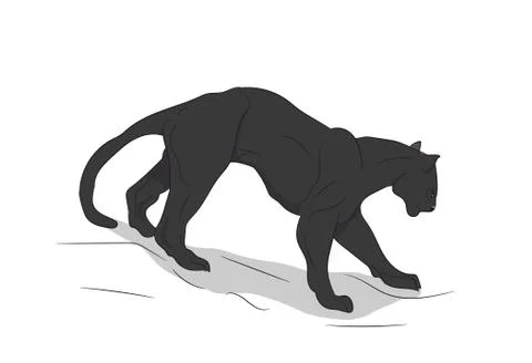 Panther goes, vector, Illustrazione stock