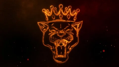 Panther head with crown in fire line Stock Footage 243820663