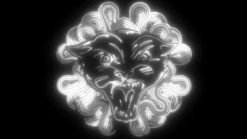 Panther Head in white line on black background Stock Footage 276274437