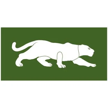 Panther icon design Stock-Illustration