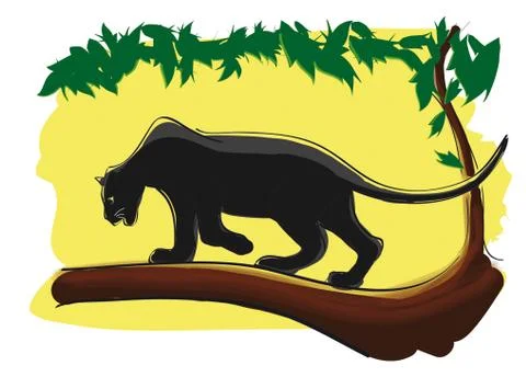 PANTHER Stock Illustration