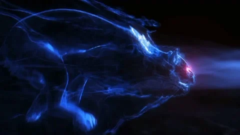 Panther Intro (Extended Version) Video stock 198208655