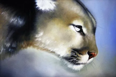 Panther Stock Photos