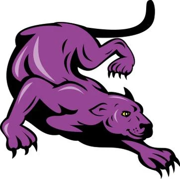 Panther prowling isolated on white Stock-Illustration