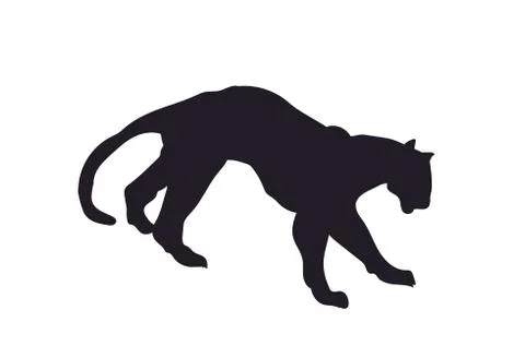 Panther silhouette, vector Stock-Illustration