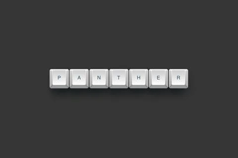 Panther text on a 3d keyboard button with shadow concept series Stock Illustration