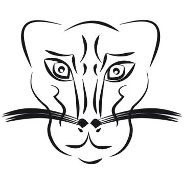 Panther on white background Stock Illustration