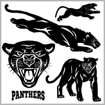 Panthers - vector set. Vector illustration isolated on white Stock Illustration