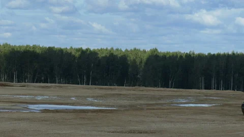 Panzer 動画素材 111830133