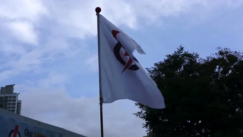 PAP flags flying,  advertising for the General elections Stock Footage 134471024