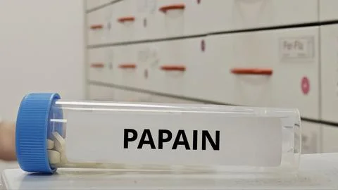 PAPAIN tablets used to support digestion and protein breakdown Foto stock