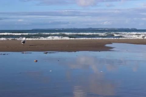 Papamoa beach 库存照片