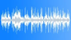 PAPARAZZI (CAMERAS ONLY) (Sound Effect)Sound Effect