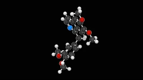 Papaverine (Papaverin). Seamless loop. Stock Footage 154418219