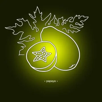 Papaya in the Contours 스톡 일러스트