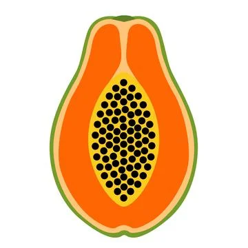 Papaya Fruit Cut in Half Showing Seeds and Orange Flesh on White Background Stock Illustration