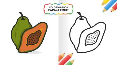 Papaya fruit hand drawn coloring book for learning. Flat color ready to print Stock Illustration