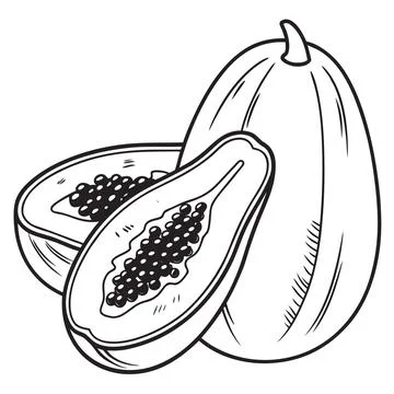 Papaya Fruit Icon Outline Vector on White Background Illustrazione stock